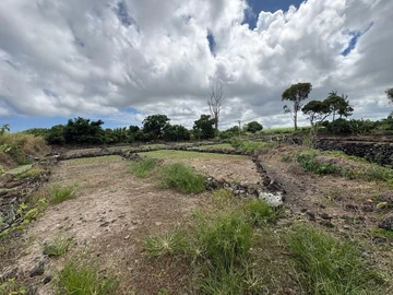 Agricultural Land
