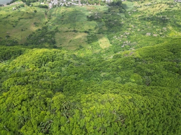 Agricultural Land