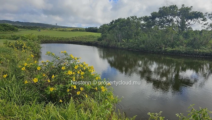 Spectacular 4,600 m² residential corner plot 