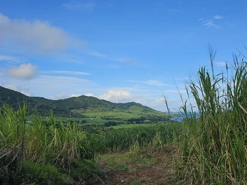 Agricultural Land