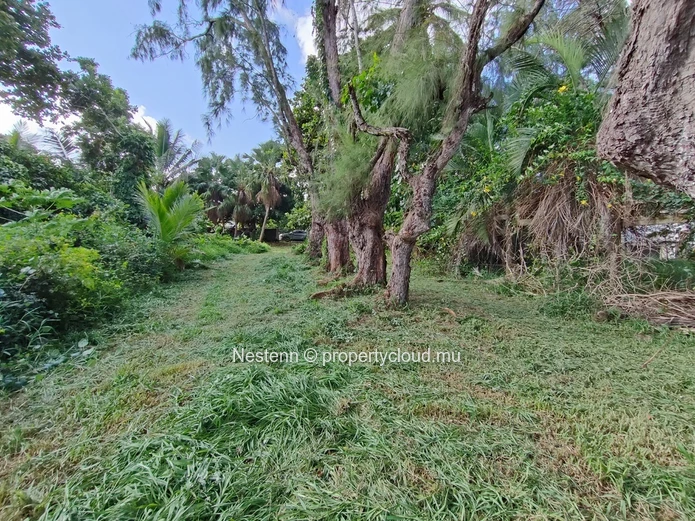 Terrain exclusif en bord de mer 