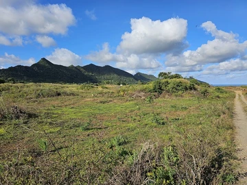 Agricultural Land