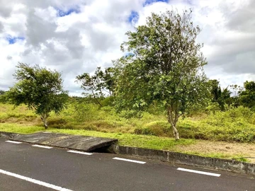 Residential Land