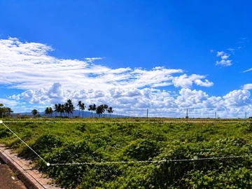Residential Land