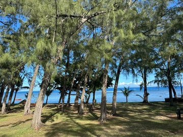 Residential Land