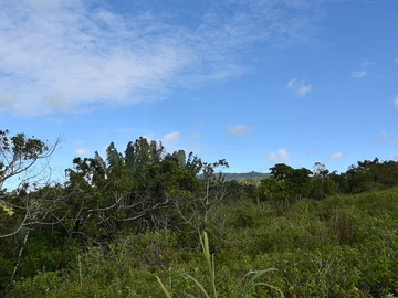 Agricultural Land
