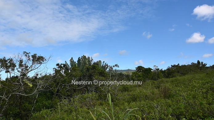 Agricultural land of 12,664 m² 