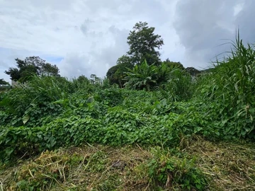 Residential Land