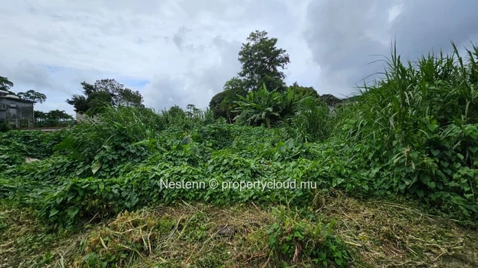 95 Perches residential land – Peaceful, spacious and Ideally located