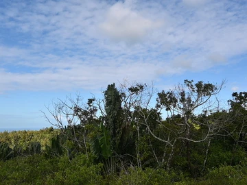 Agricultural Land