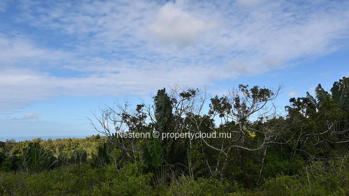 Agricultural land of 12,664 m² 