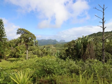 Commercial Land