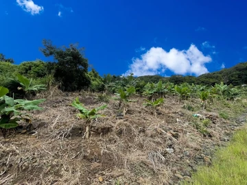 Agricultural Land