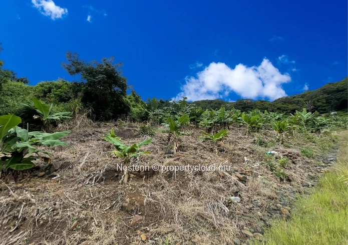 Serene 12 Acres agricultural land with mountain and sea views.