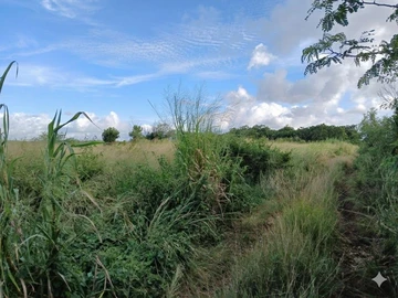 Agricultural Land