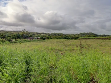 Agricultural Land