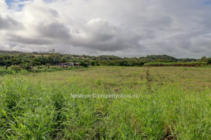 2 Acres of Land 