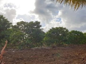 Agricultural Land