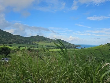 Agricultural Land