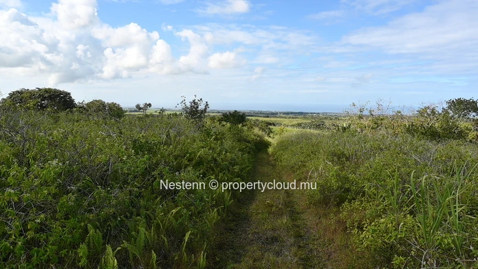 Terrain agricole de 14225m²