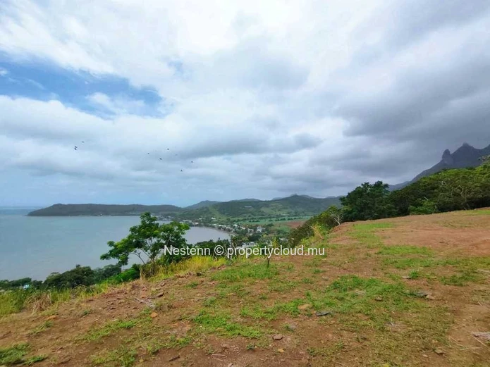 5-arpent land with full ownership.
