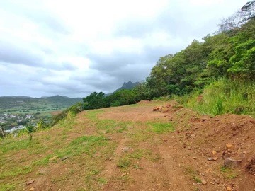 Agricultural Land