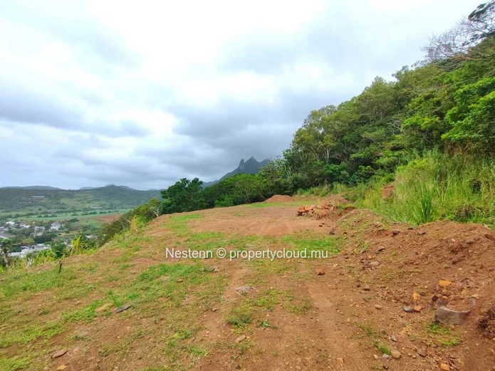 5-arpent land with full ownership.