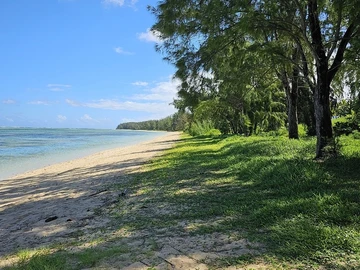 Residential Land
