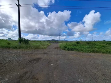 Agricultural Land