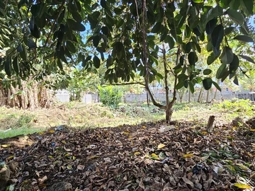 Residential Land