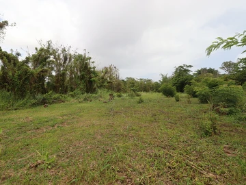 Residential Land