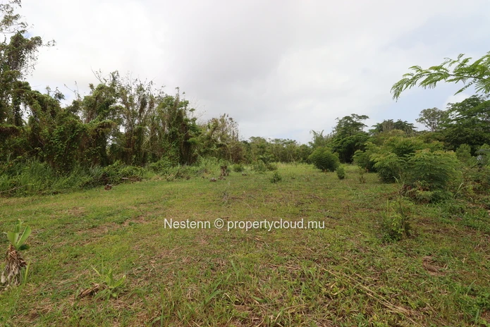 Terrain résidentiel de 2954 m², ce terrain est parfait pour votre projet de maison
