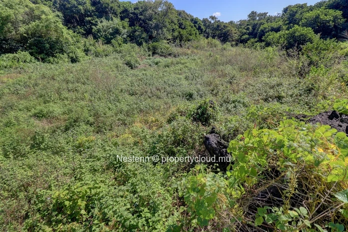 Agricultural land of 52 perches