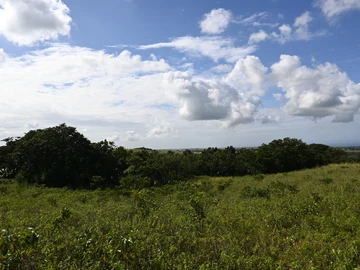 Agricultural Land