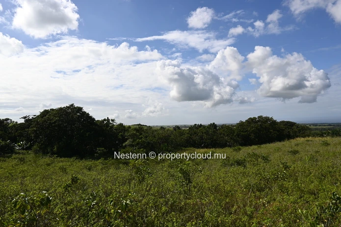 Agricultural land of 12,664 m² 