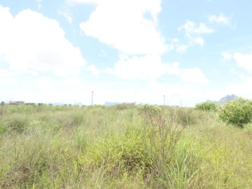 Residential Land
