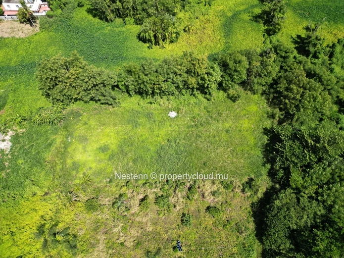 Terrain résidentiel de 2954 m², ce terrain est parfait pour votre projet de maison