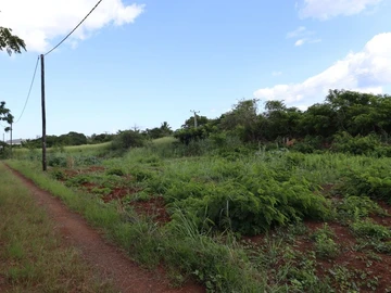 Residential Land