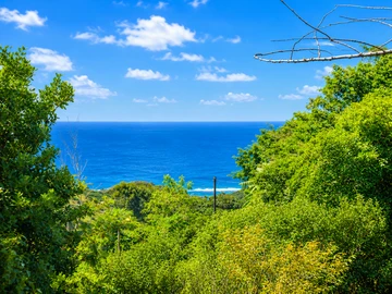 Residential Land