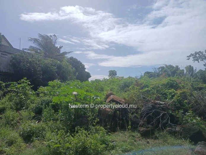 Grand terrain de 1266,26 m²