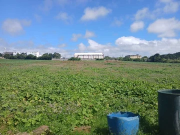 Agricultural Land