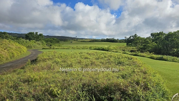 Spectacular 4,600 m² residential corner plot 
