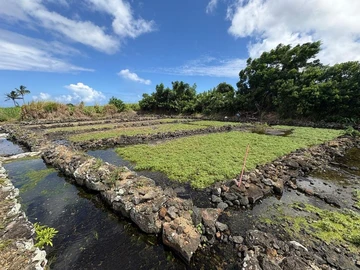 Agricultural Land