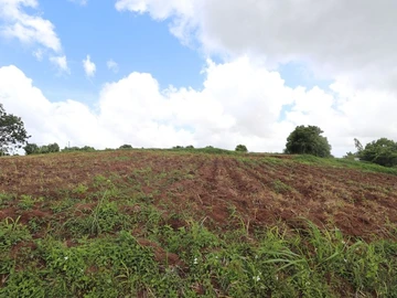Residential Land