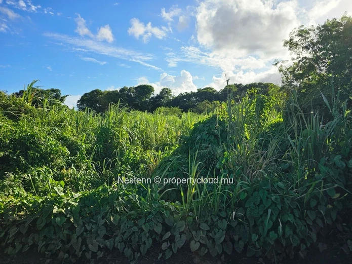 Terrain agricole bien situé 