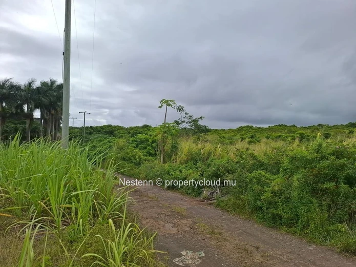Agricultural land of 12,491.13 m², ideally located in the peaceful and green surroundings 