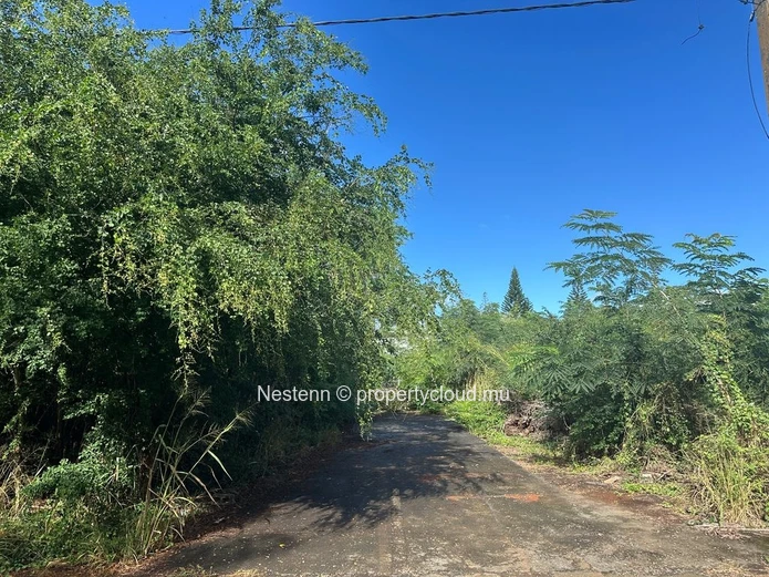 Terrain résidentiel de 965 m² – Peut être divisé en 2 lots.