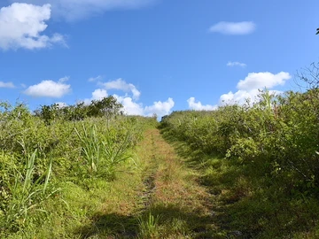 Agricultural Land