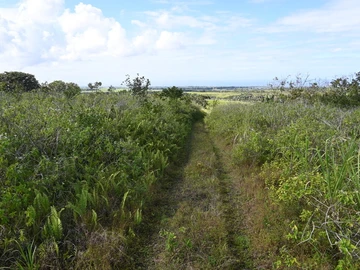Agricultural Land