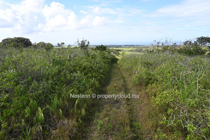 Terrain agricole de 14225m²